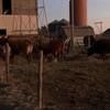 farmboys_94